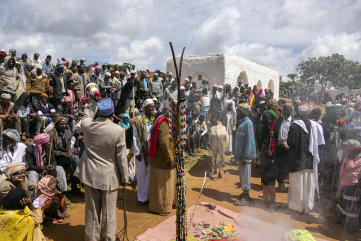 A large crowd of Sufi pilgrims gathers for a ceremony with burning incense near a whitewashed shrine, Oromia, Sheik Hussein, Ethiopia