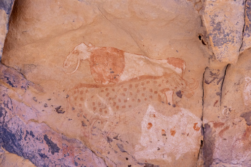 Rock painting depicting cows, Tassili N'Ajjer National Park, Tadrart Rouge, Algeria