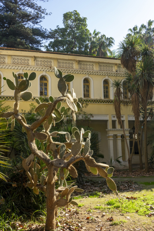 Jardin d'Essai in Hamma area