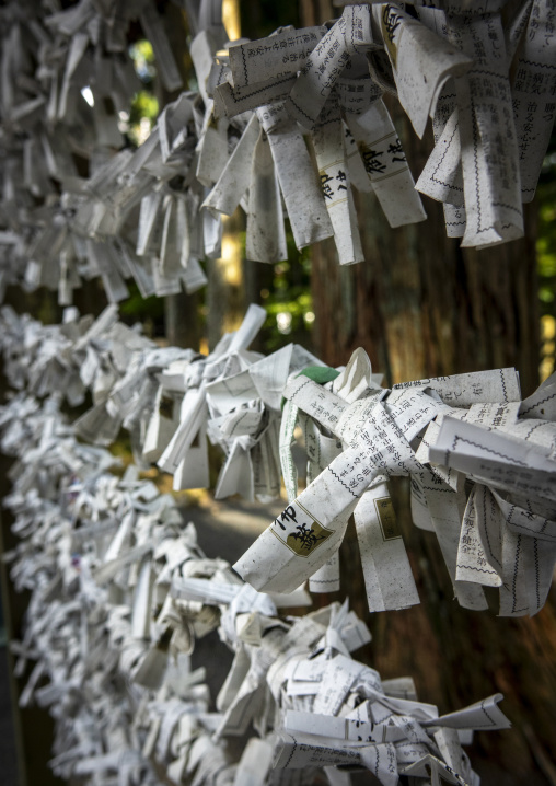 Folded paper fortunes tied to strings at a Buddhist temple, Waka