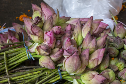 flower market