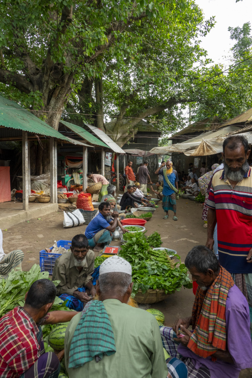 Busy vegetable market beneath a large tree, Dhaka Division, Dham