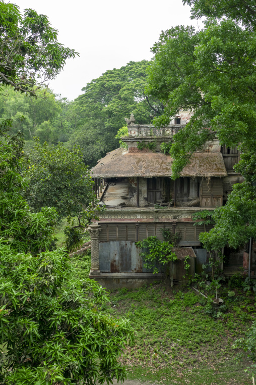 Abandoned zamindar mansion overgrown with jungle vegetation, Dha
