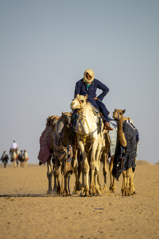 Training for camel racing in the Rub' al Khali empty quarter desert, Najran Province, Hubuna, Saudi Arabia