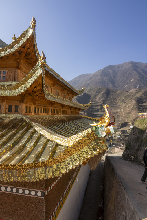 The gilded roof of Bongya monastery overlooks the surrounding mountains, Qinghai Province, Mosele, China