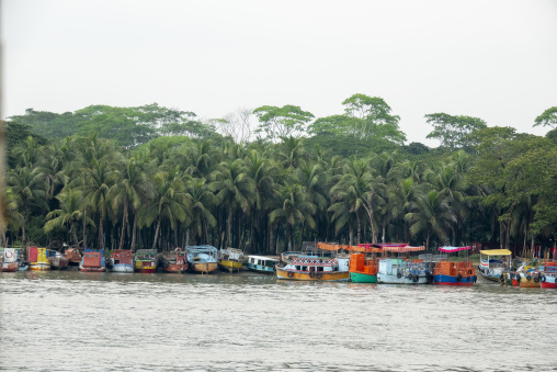 Wooden boats moored along a river bank lined with palm trees, Kh