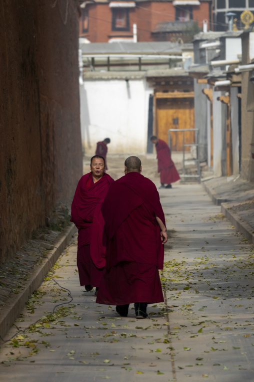 Buddhist monks walk through a narrow alley at Labrang monastery, Gansu Province, Labrang, China