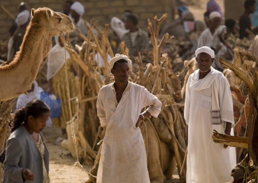 Monday wood and camel market, Anseba, Keren, Eritrea