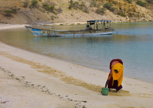 Afar woman collecting vongole in Desei island, Northern Red Sea, Dahlak, Eritrea