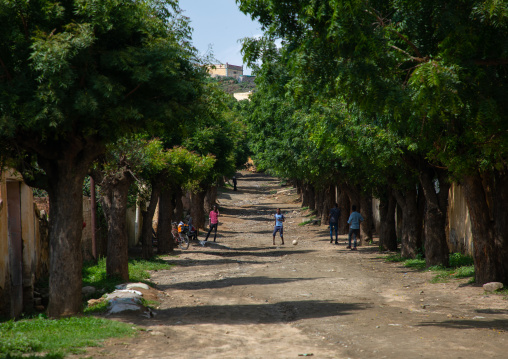 Eritrean boys playing football in a street in downtown, Semien-Keih-Bahri, Keren, Eritrea