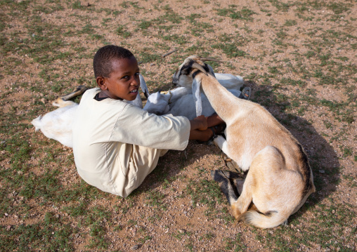 Eritrean boy in the livestock market, Gash-Barka, Agordat, Eritrea