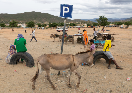 Eritrean people with carts in a market, Debub, Ghinda, Eritrea