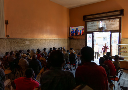 Eritrean men watching Giro live on tlelvision in a bar, Central Region, Asmara, Eritrea