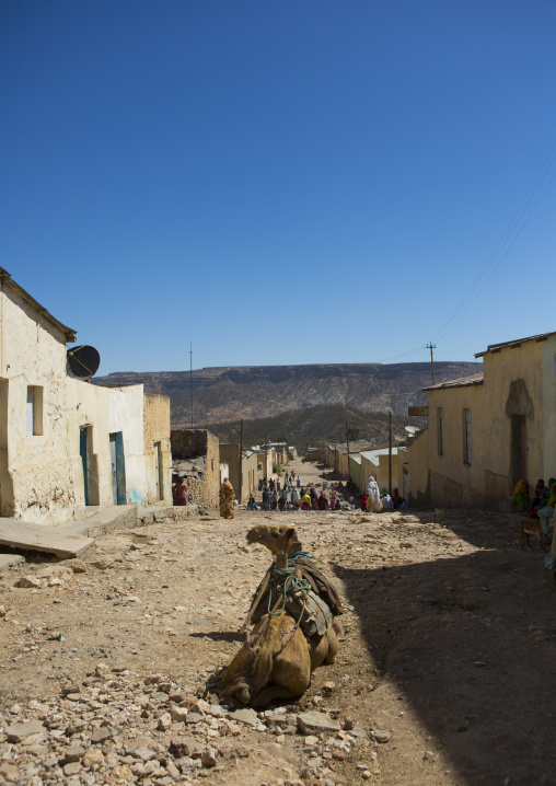 Camel resting in a street, Debub, Adi Keyh, Eritrea