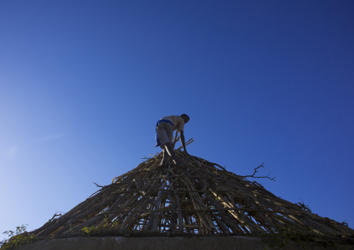 Bilen tribe man building the roof of his hut, Anseba, Keren, Eritrea