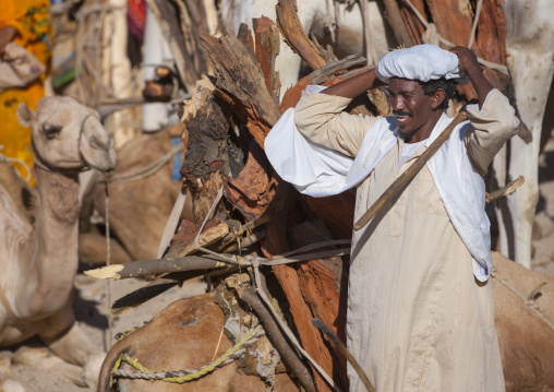 Muslim seller in Monday wood and camel market, Anseba, Keren, Eritrea