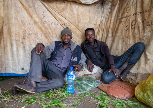 Ethiopian men chewing khat, Harari Region, Awaday, Ethiopia