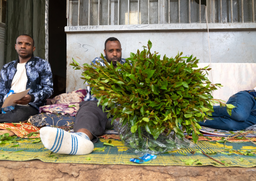 Ethiopian men chewing khat, Harari Region, Awaday, Ethiopia