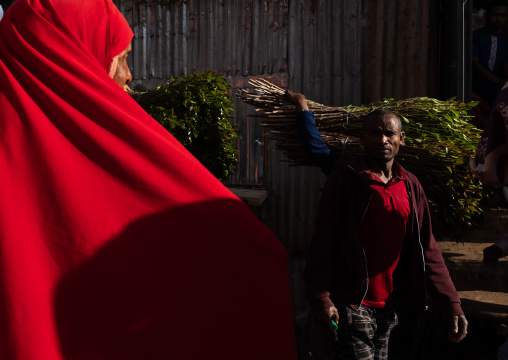 Ethiopian man carrying khat in a market, Harari Region, Awaday, Ethiopia