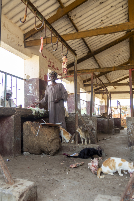 A turbaned butcher stands at his stall in a meat market while cats gather at his feet, Red Sea State, Port Sudan, Sudan
