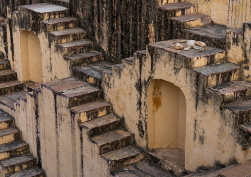 Panna Meena ka Kund stepwell, Rajasthan, Amer, India