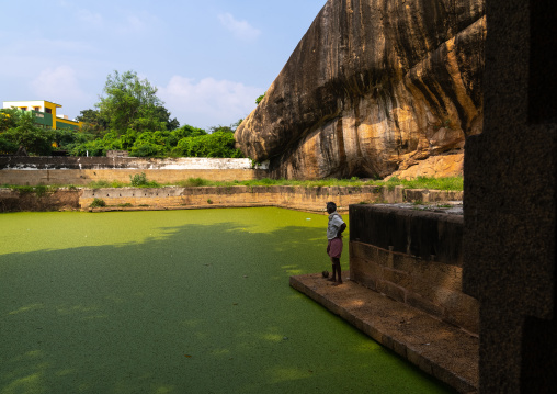 Green water in the pond of shiva temple, Tamil Nadu, Thirumayam, India