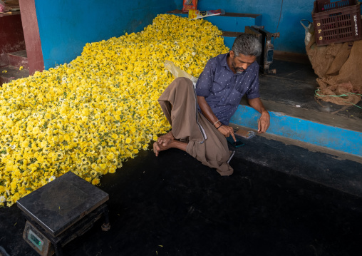 Indian man selling flowers in a market, Tamil Nadu, Madurai, India