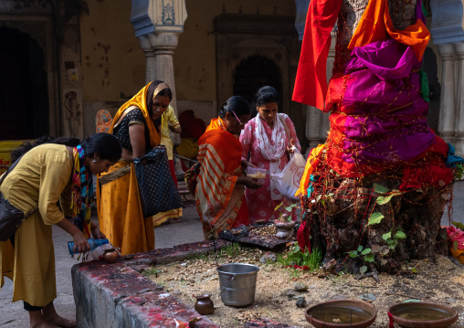 Indian women making offerings in Galtaji temple, Rajasthan, Jaipur, India