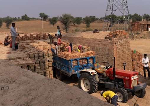Indian workers in a brick factory, Rajasthan, Mandawa, India