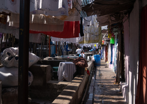 Dhobi Ghat open air laundromat, Maharashtra state, Mumbai, India