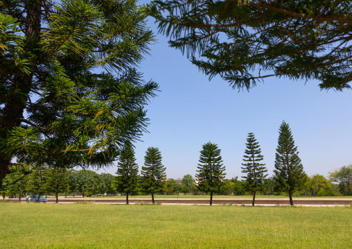 Garden in the Capitol complex, Punjab State, Chandigarh, India