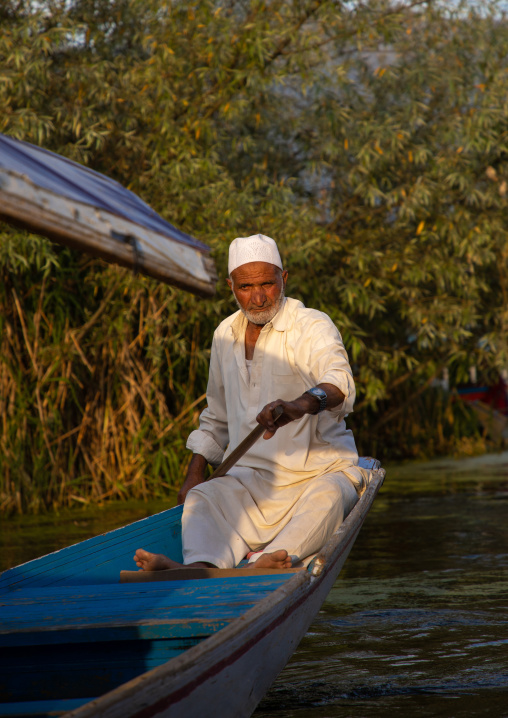 Shikara boat on Dal Lake, Jammu and Kashmir, Srinagar, India
