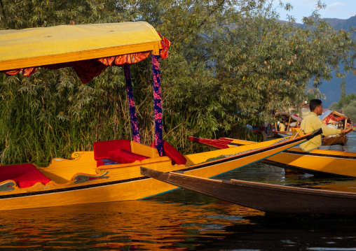 Shikara boat on Dal Lake, Jammu and Kashmir, Srinagar, India