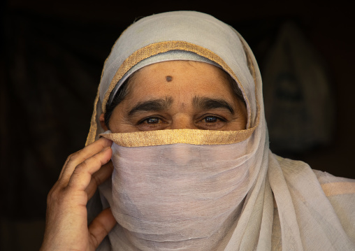 Portrait of a kashmiri veiled woman, Jammu and Kashmir, Charar- E- Shrief, India
