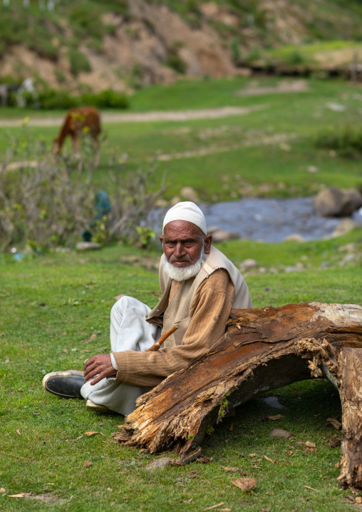 Portrait of a Gujjar Bakerwal man, Jammu and Kashmir, Yusmarg, India