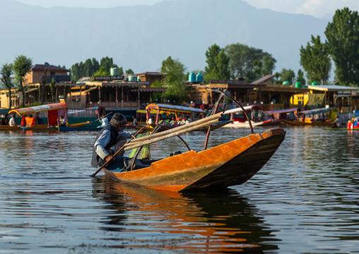 Fisherman on Dal Lake, Jammu and Kashmir, Srinagar, India
