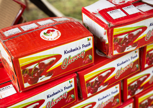 Kashmir cherry boxes for sale, Jammu and Kashmir, Kangan, India
