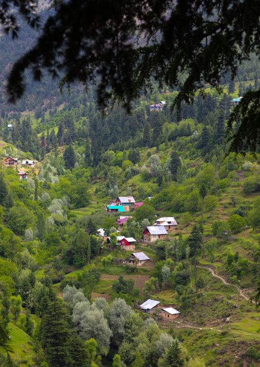 Village in the mountain surrended by forest, Jammu and Kashmir, Kangan, India