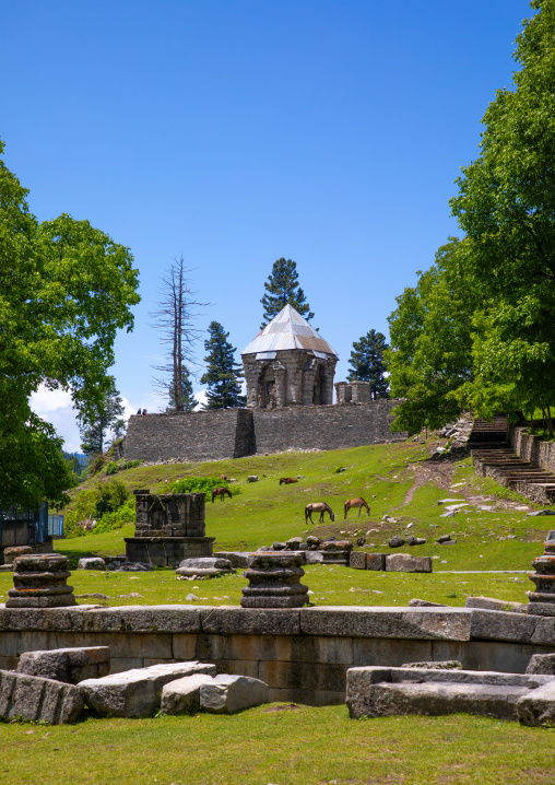 Ruins of Naranag Temple on ancient Hindu pilgrimage site, Jammu and Kashmir, Kangan, India
