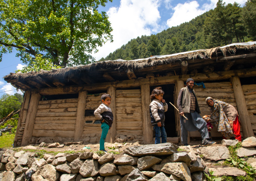 Gujjar Bakerwal nomad home for the summer, Jammu and Kashmir, Kangan, India