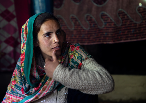 Gujjar Bakerwal woman inside her summer house, Jammu and Kashmir, Kangan, India