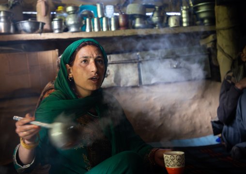 Gujjar Bakerwal woman inside her summer house, Jammu and Kashmir, Kangan, India