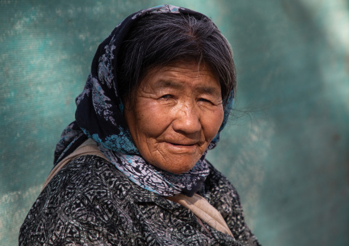Tibetan woman in Sonamling Tibetan settlement, Ladakh, Leh, India