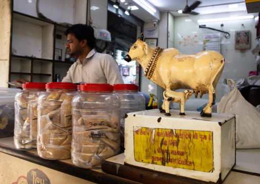Donation box in a shop in old Delhi, Delhi, New Delhi, India