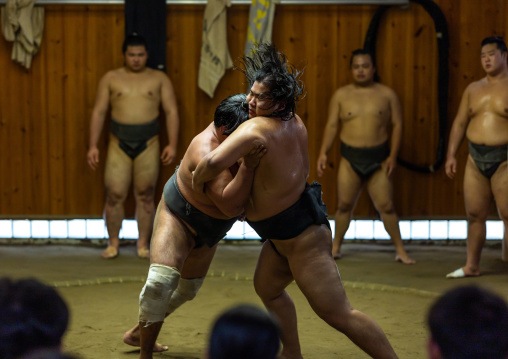 Sumo wrestlers training in Tatsunami Beya sumo stable, Kanto region, Tokyo, Japan