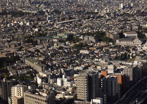 Aerial view of the city, Kanto region, Tokyo, Japan