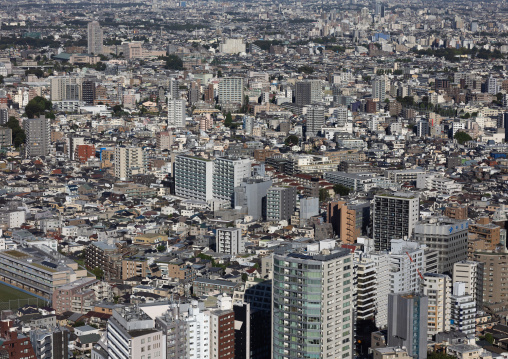 Aerial view of the city, Kanto region, Tokyo, Japan