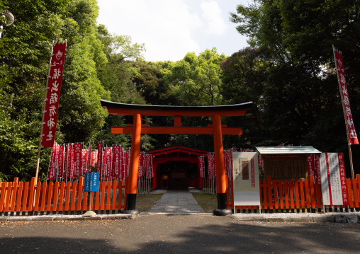 Gokuku shrine torii, Kyushu region, Fukuoka, Japan