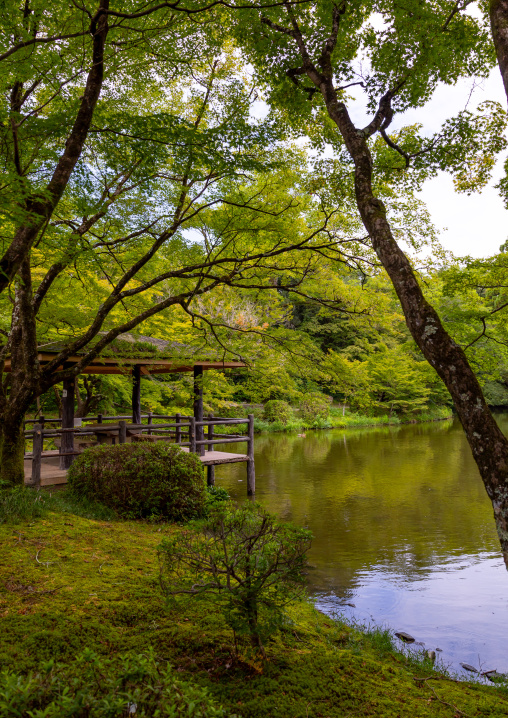 Water pond in Kyoto botanical garden, Kansai region, Kyoto, Japan