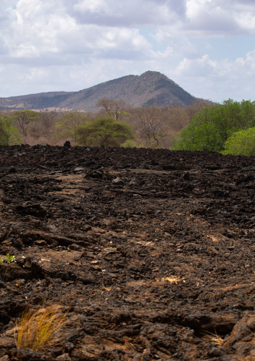 Shetani lava flow landscape, Coast Province, Tsavo West National Park, Kenya